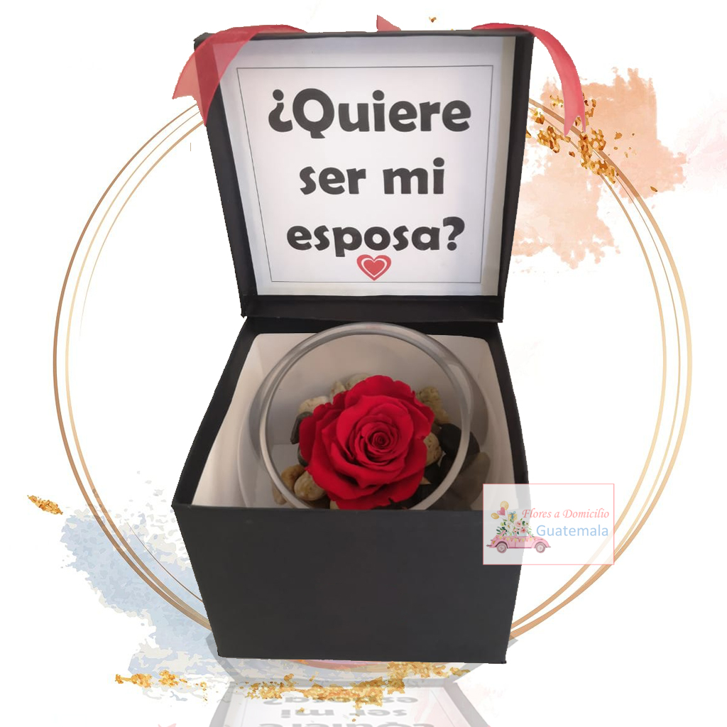 Rosa Preservada en Pecera – Flores a domicilio Guatemala