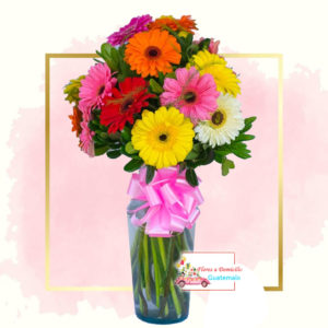 Arreglos florales de Gerberas