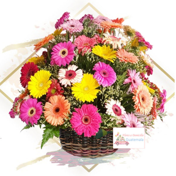 Arreglos florales de gerberas