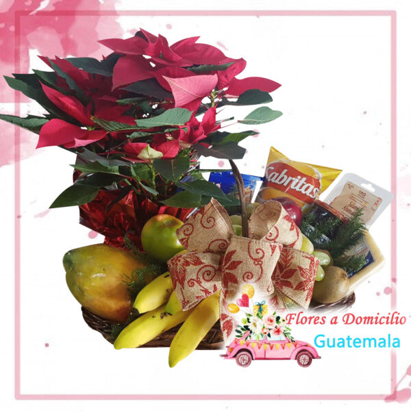 Arreglos Florales Guatemala